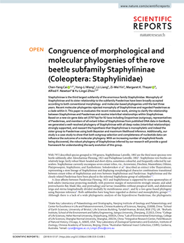 Congruence of Morphological and Molecular Phylogenies of the Rove Beetle Subfamily Staphylininae (Coleoptera: Staphylinidae)