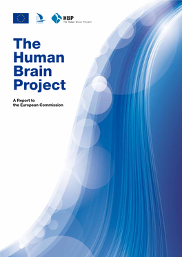 The Human Brain Project