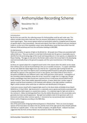 Anthomyiidae Recording Scheme Newsletter No 11 Spring 2019