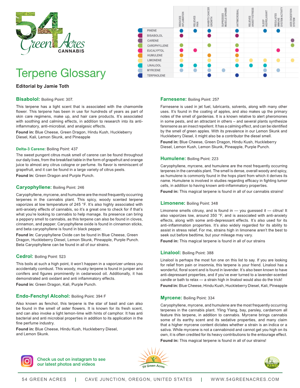 Terpene Glossary Editorial by Jamie Toth