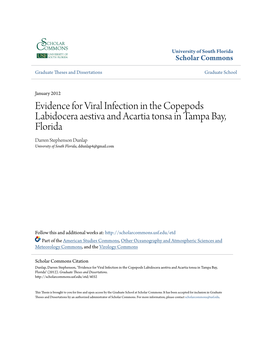 Evidence for Viral Infection in the Copepods Labidocera Aestiva And