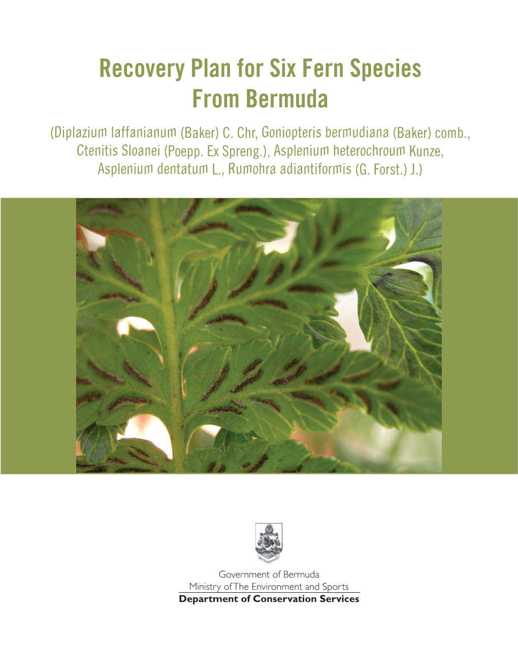 Recovery Plan for Six Fern Species from Bermuda (Diplazium Laffanianum (Baker) C