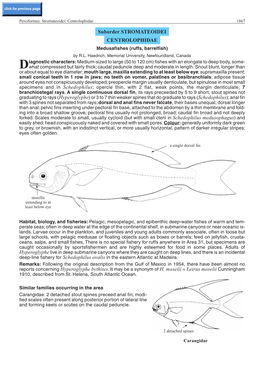 Suborder STROMATEOIDEI CENTROLOPHIDAE Medusafishes (Ruffs, Barrelfish) by R.L