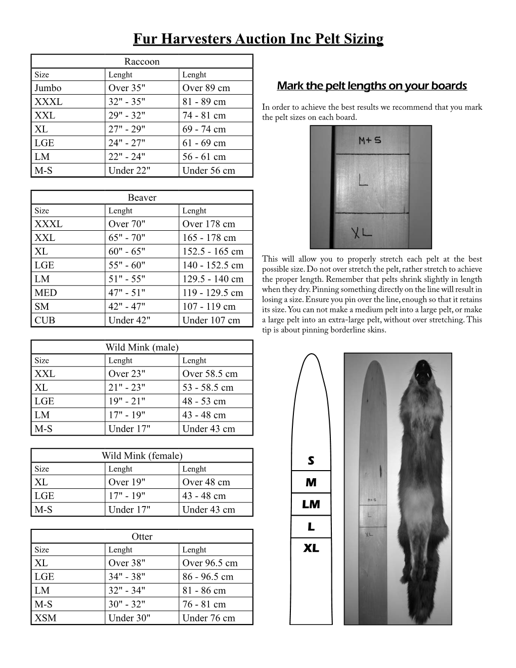 Fur Harvesters Auction Inc Pelt Sizing