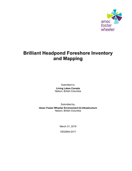 BHP Foreshore Inventory Mapping