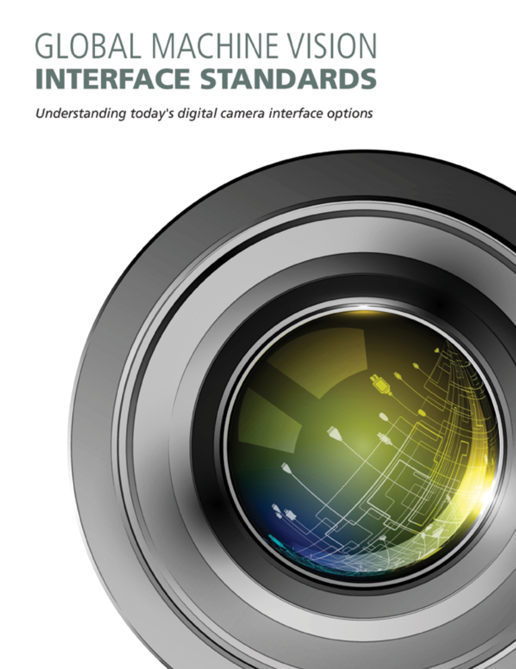 Global MV Standards English