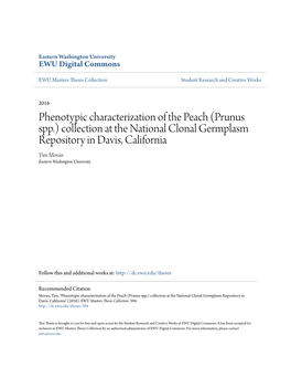 Phenotypic Characterization of the Peach