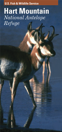 Hart Mountain Refuge Brochure