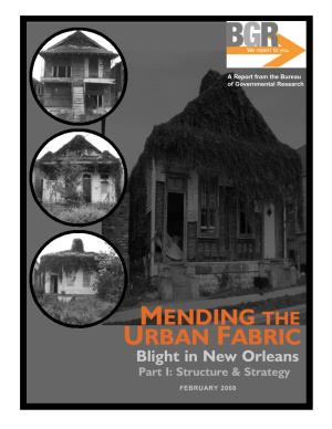 Blight in New Orleans Part I: Structure & Strategy