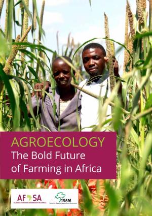 AGROECOLOGY: the Bold Future of Farming in Africa