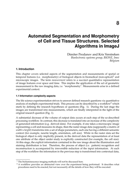 Automated Segmentation and Morphometry of Cell and Tissue Structures