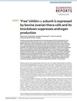 Inhibin Α Subunit Is Expressed by Bovine Ovarian Theca Cells and Its Knockdown Suppresses Androgen Production