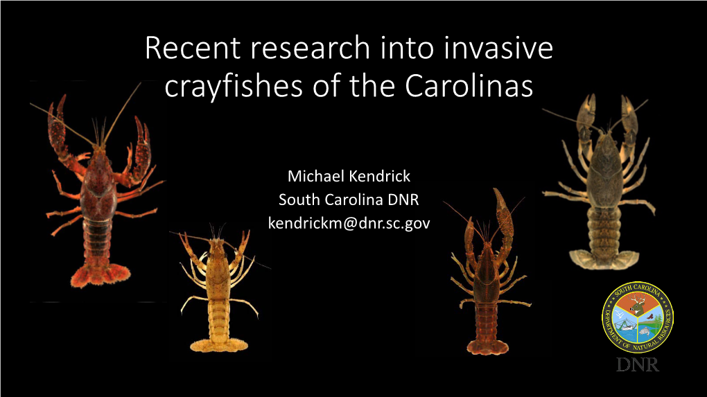 Recent Research Into Invasive Crayfish of the Carolinas