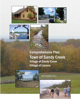 Town of Sandy Creek Comprehensive Plan - September 2013 1 2 Town of Sandy Creek Comprehensive Plan - September 2013 Table of Contents