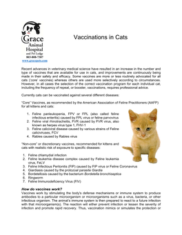 Vaccinations in Cats