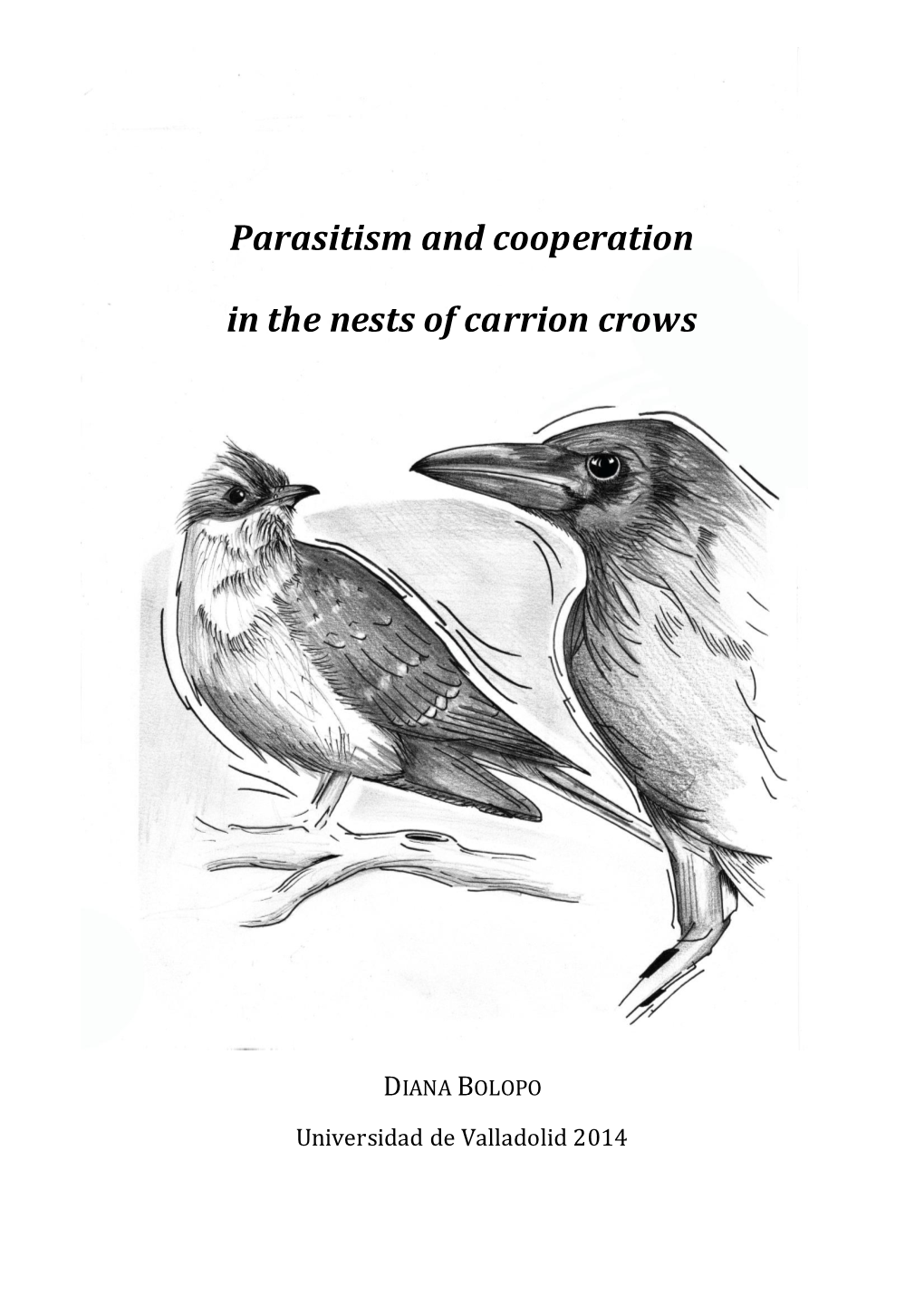 Parasitism and Cooperation in the Nests of Carrion Crows