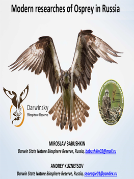 Modern Researches of Osprey in Russia