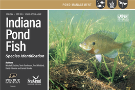 Indiana Pond Fish Species Identification
