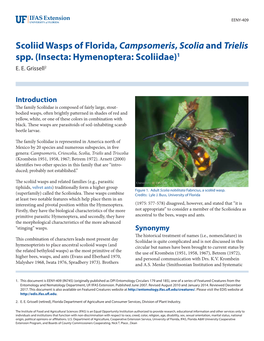 Scoliid Wasps of Florida, Campsomeris, Scolia and Trielis Spp. (Insecta: Hymenoptera: Scoliidae)1 E