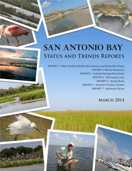 San Antonio Bay: Status and Trends Reports PREPARED BY: Kiersten M