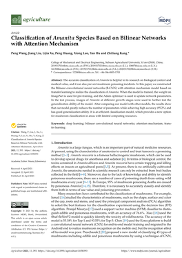 Classification of Amanita Species Based on Bilinear Networks With