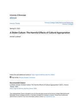 The Harmful Effects of Cultural Appropriation