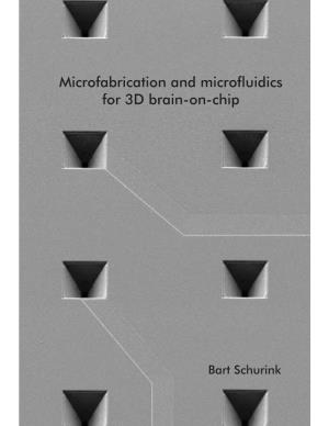 Microfabrication and Microfluidics for 3D Brain-On-Chip