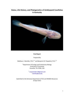 Status, Life History, and Phylogenetics of Amblyopsid Cavefishes in Kentucky
