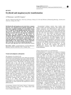 Erythroid and Megakaryocytic Transformation