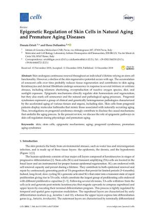 Epigenetic Regulation of Skin Cells in Natural Aging and Premature Aging Diseases