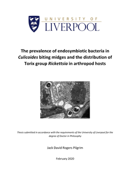 The Prevalence of Endosymbiotic Bacteria in Culicoides Biting Midges and the Distribution of Torix Group Rickettsia in Arthropod Hosts