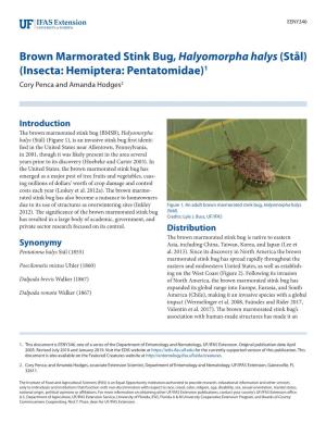 Brown Marmorated Stink Bug, Halyomorpha Halys (Stål) (Insecta: Hemiptera: Pentatomidae)1 Cory Penca and Amanda Hodges2