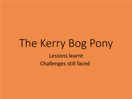 The Kerry Bog Pony Lessons Learnt Challenges Still Faced What Is a Kerry Bog Pony?
