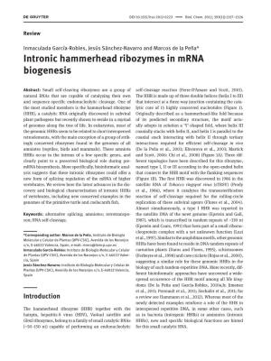 Intronic Hammerhead Ribozymes in Mrna Biogenesis