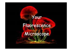 Your Fluorescence Microscope Transmitted-Light