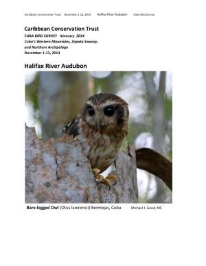 Halifax River Audubon Cuba Bird Survey