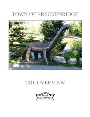 Town of Breckenridge 2010 Overview
