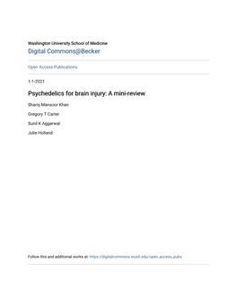 Psychedelics for Brain Injury: a Mini-Review