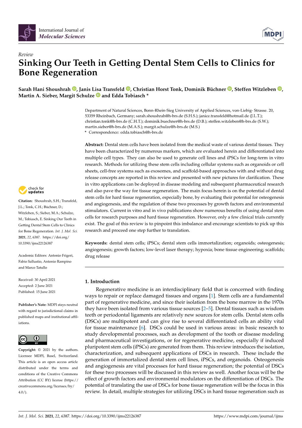 Sinking Our Teeth in Getting Dental Stem Cells to Clinics for Bone Regeneration