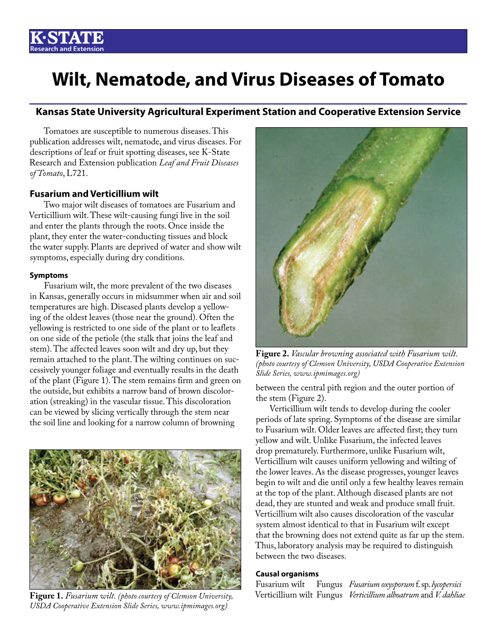 L723 Wilt, Nematode, and Virus Diseases of Tomato