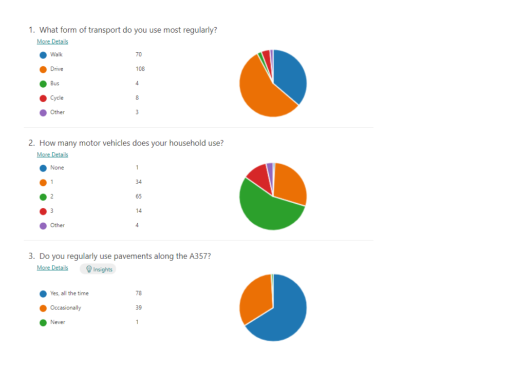 Village Traffic Survey 2021