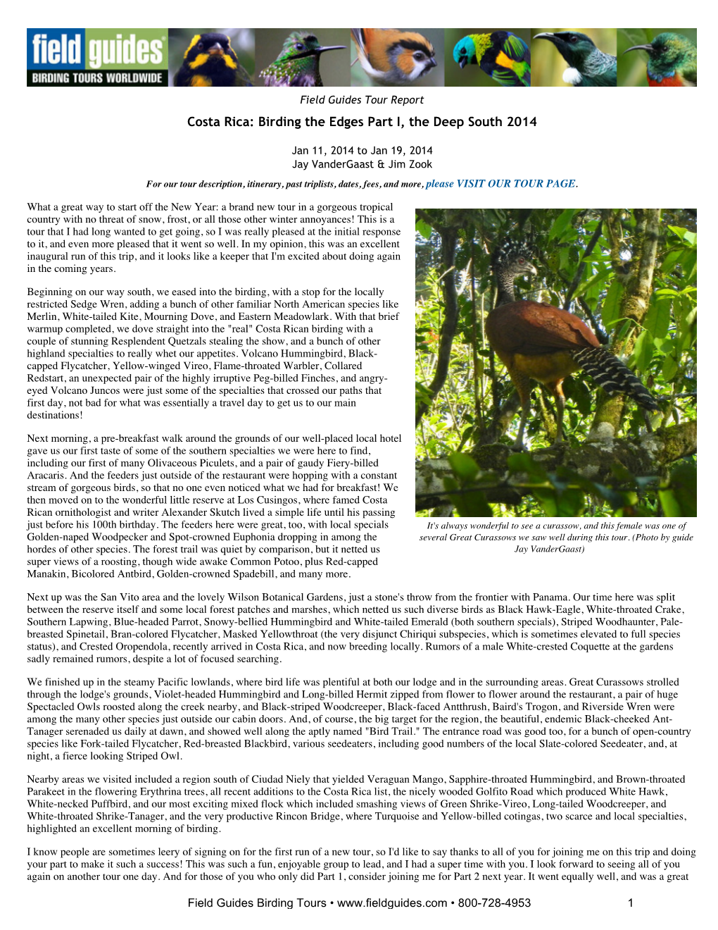 FIELD GUIDES BIRDING TOURS: Costa Rica: Birding the Edges