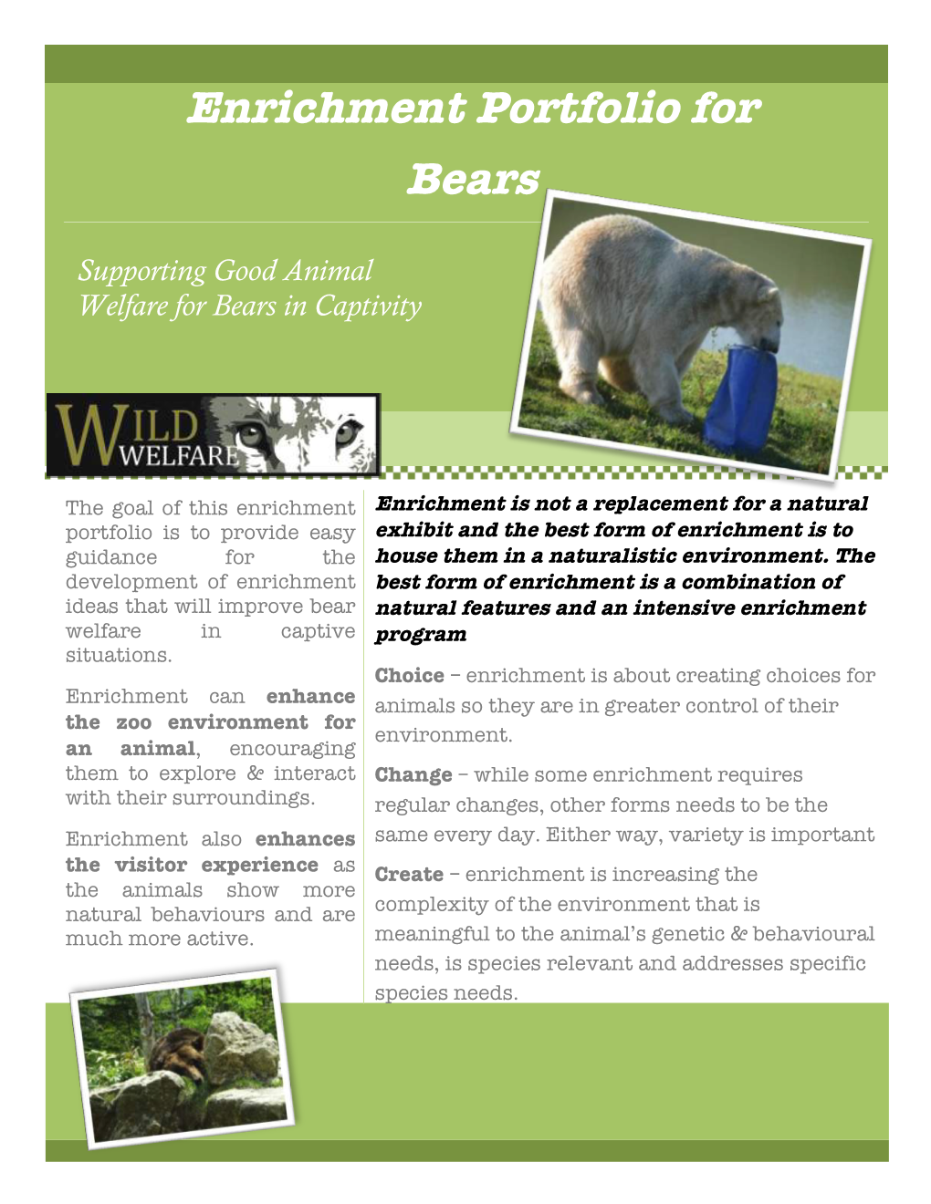 Enrichment Portfolio for Bears