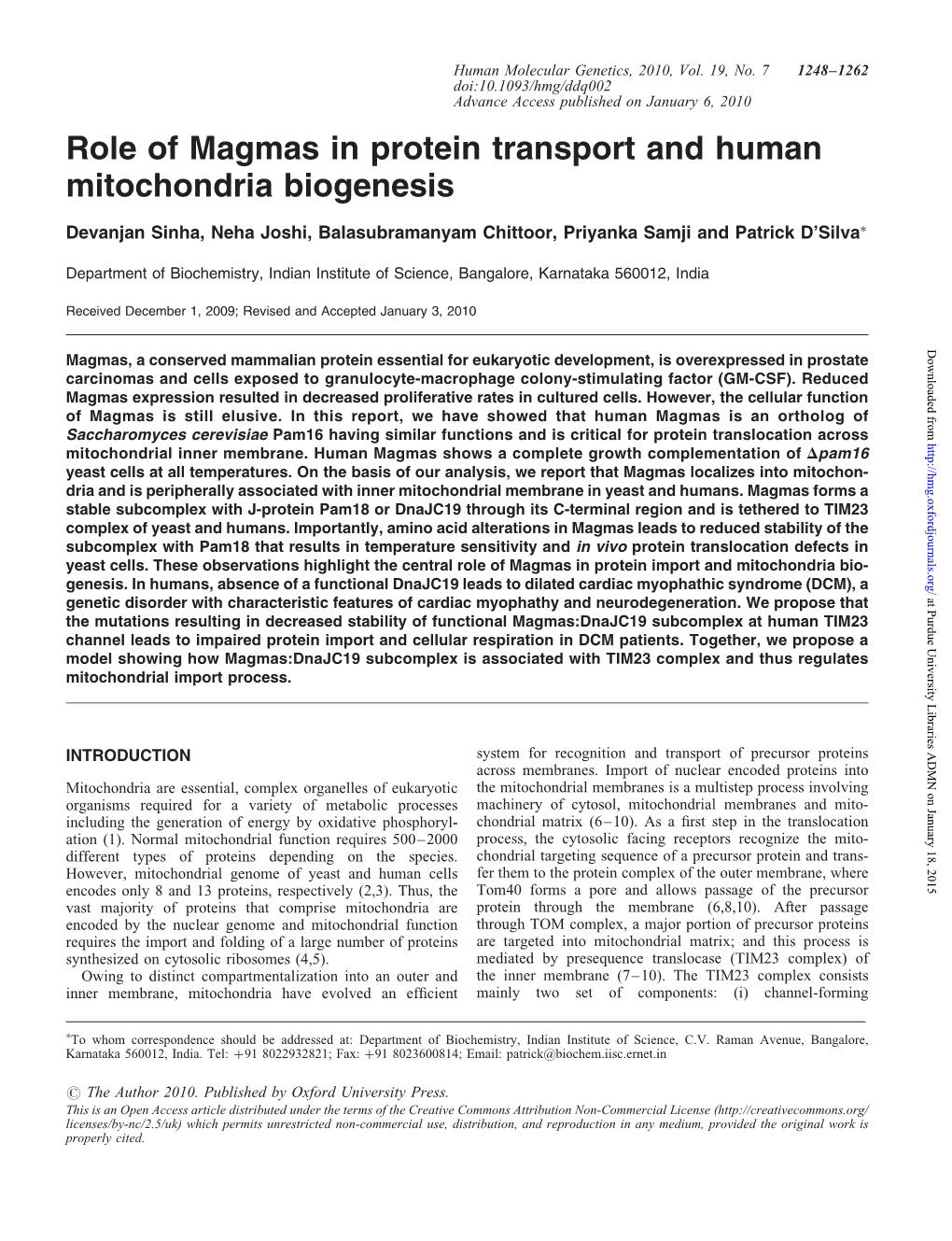 Role of Magmas in Protein Transport and Human Mitochondria Biogenesis