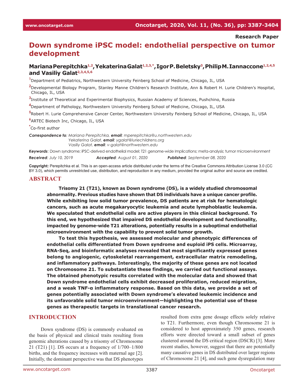 Endothelial Perspective on Tumor Development