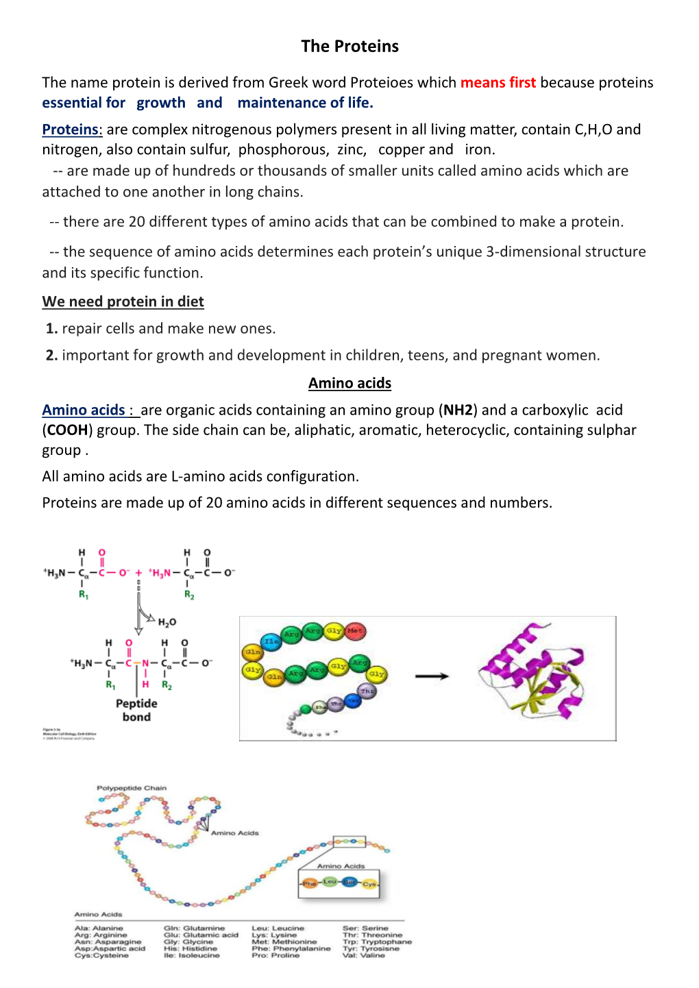 The Proteins