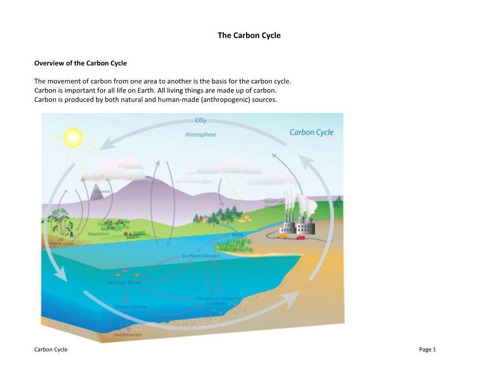 The Carbon Cycle