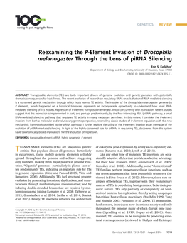 Reexamining the P-Element Invasion of Drosophila Melanogaster Through the Lens of Pirna Silencing