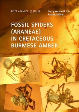 In Cretaceous Burmese Amber