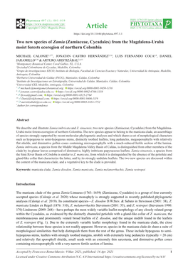 Two New Species of Zamia (Zamiaceae, Cycadales) from the Magdalena-Urabá Moist Forests Ecoregion of Northern Colombia